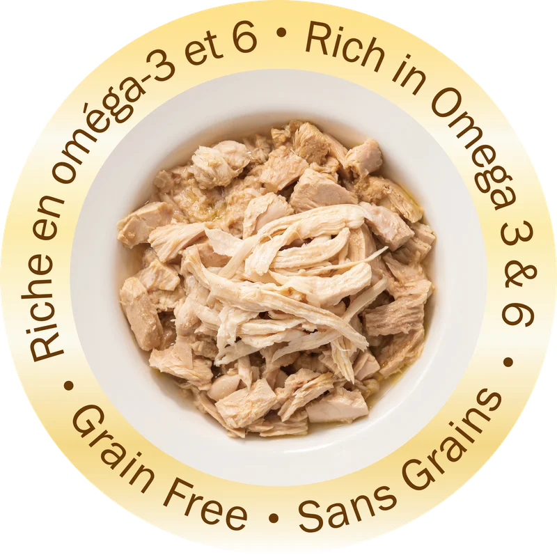 Noir Gourmet Tuna with Chicken in Gravy detail