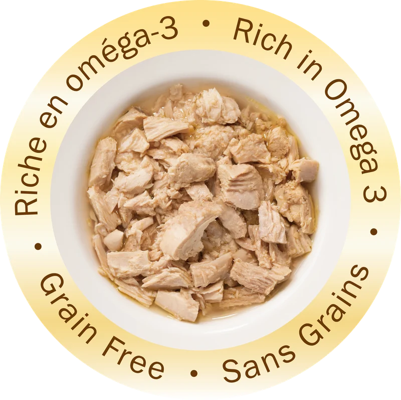 Noir Gourmet Tuna in Gravy detail
