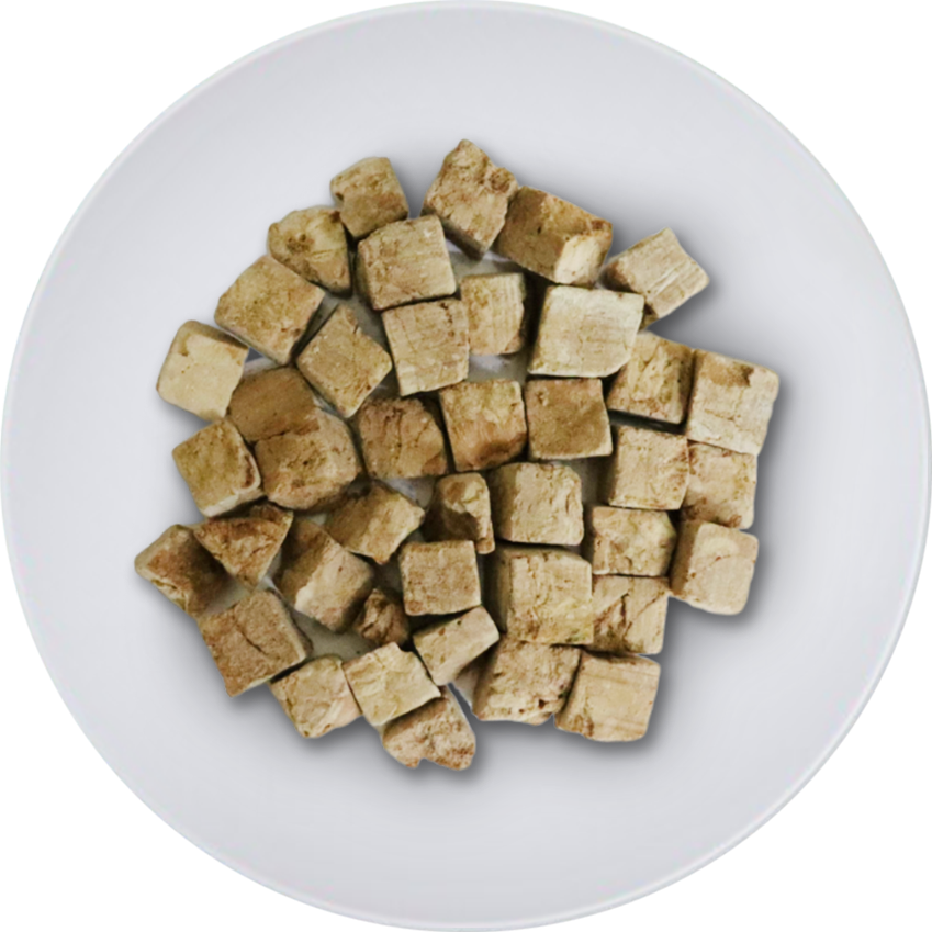 Freeze-dried Foie Gras Cube detail