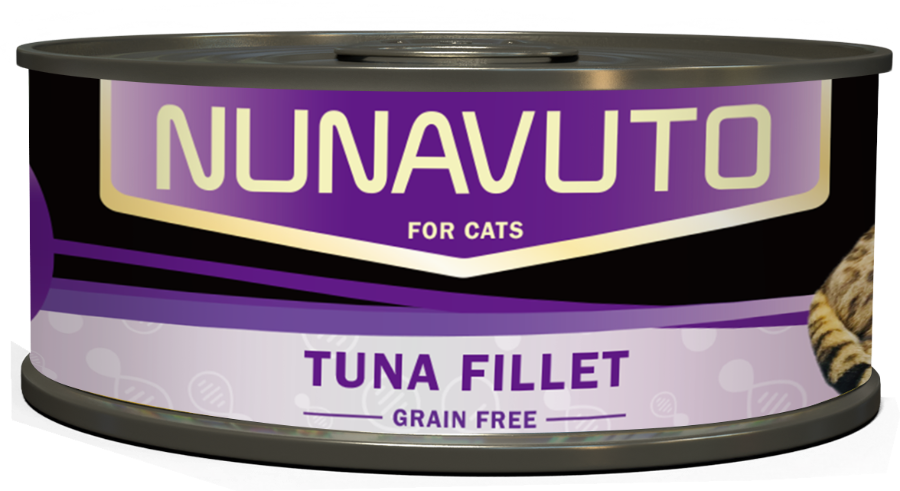 Can Food Tuna Fillet product